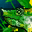 icon skill0296