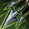 icon skill0413