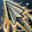 icon skill0416