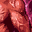 icon skill0420