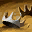 icon skill0470