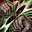 icon skill1344